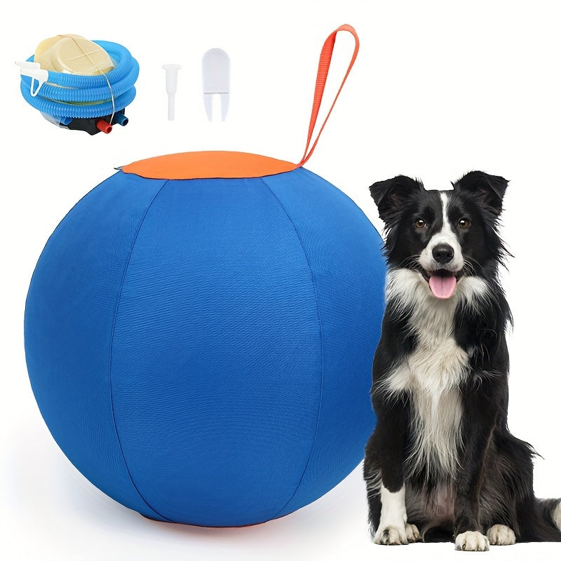 Chew-Resistant Dog Ball Toy for Fetch & Training – Durable Polo Balls for Golden Retrievers, Bulldogs, Shiba Inu, Corgi & Australian Shepherd, Self-Play & Obedience Exercise