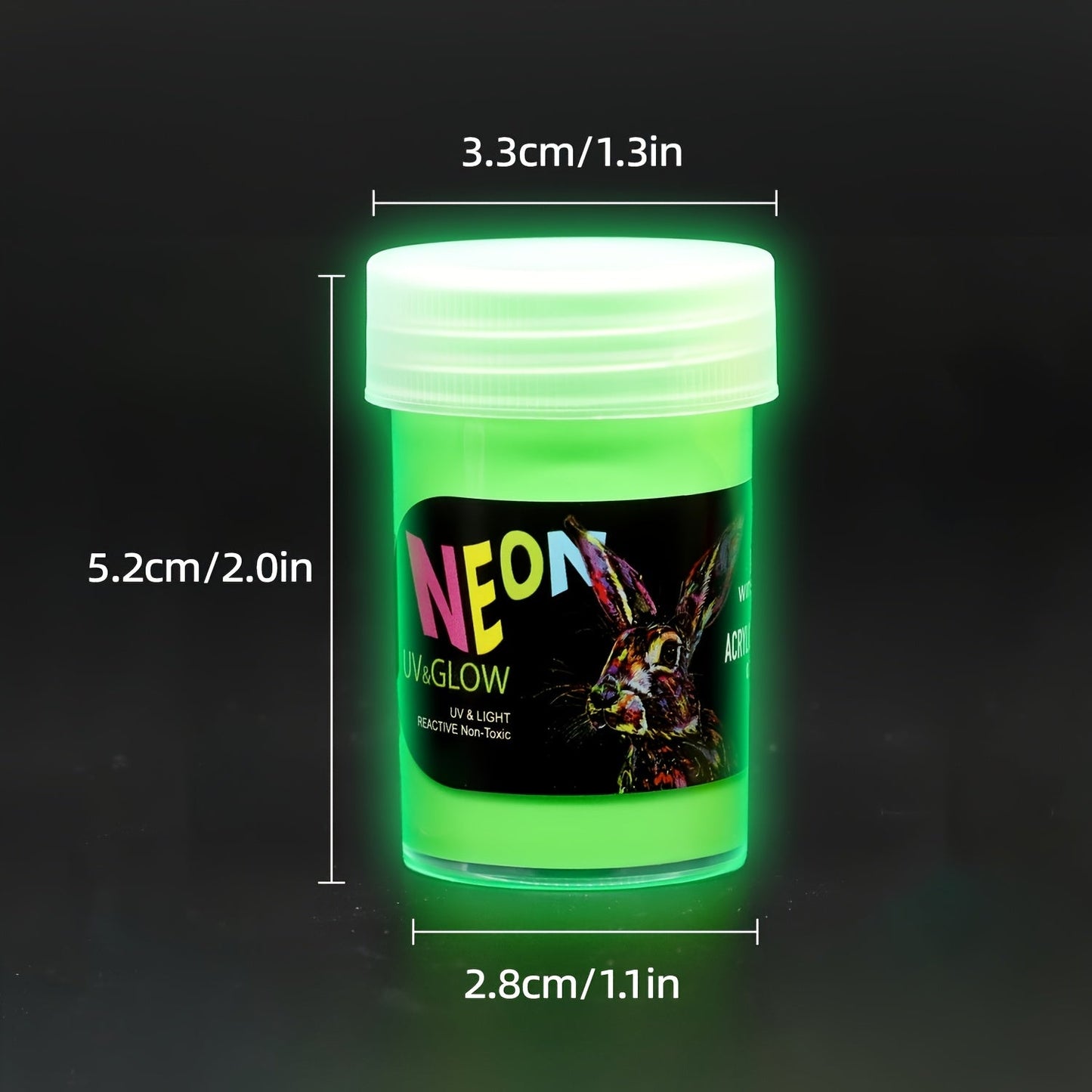 Glow in the Dark Paint Set 10 Colors 22ml Neon UV Acrylic Paint 2-in-1 Charge Glow and UV Activated for Rock Painting Canvas Craft Holiday Decor Christmas Gift