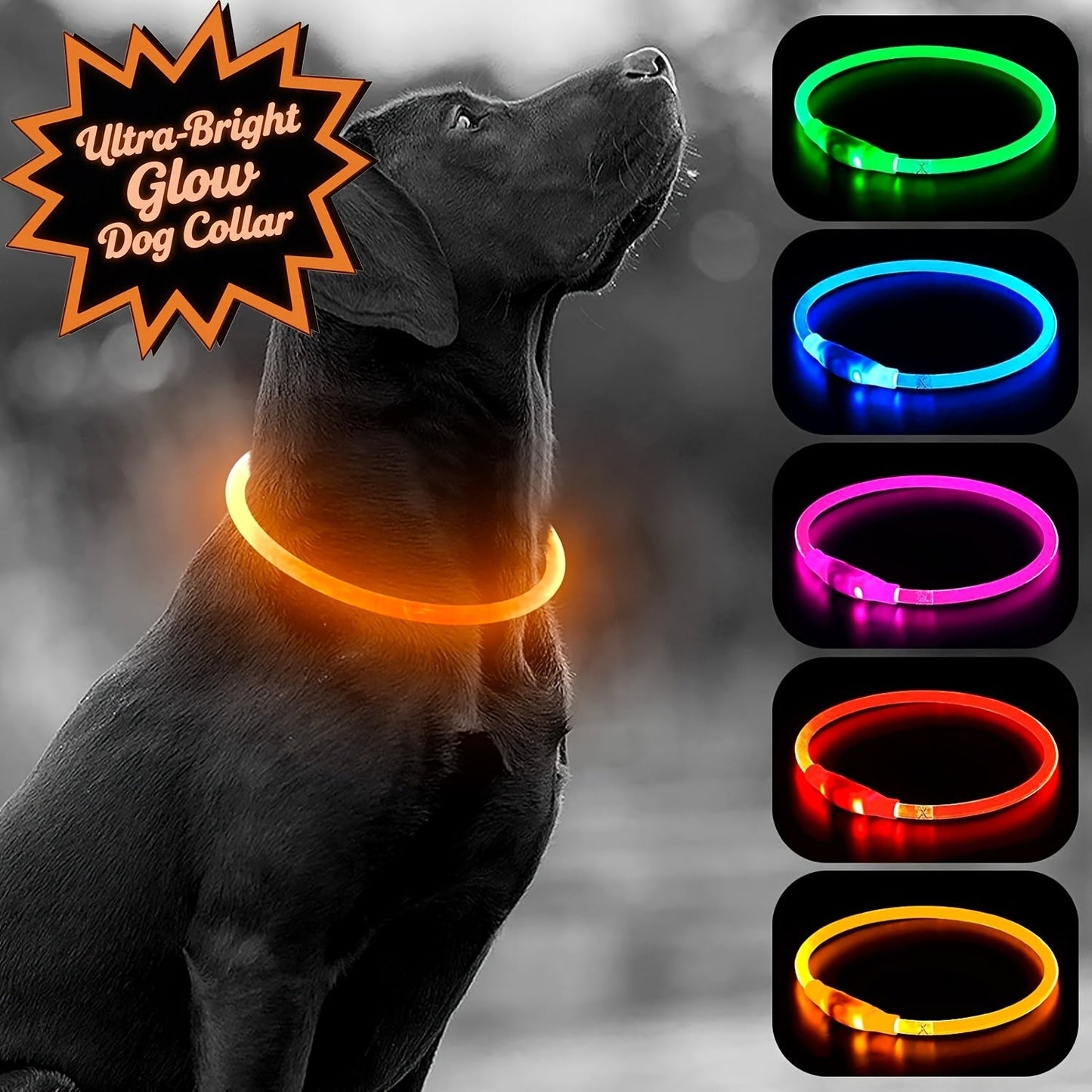 USB Rechargeable LED Dog Collar – Light Up 360° Glow Safety Collar with 3 Modes, Adjustable TPU Cuttable Collar for Small Medium Large Dogs, Night Walking Running & Hunting