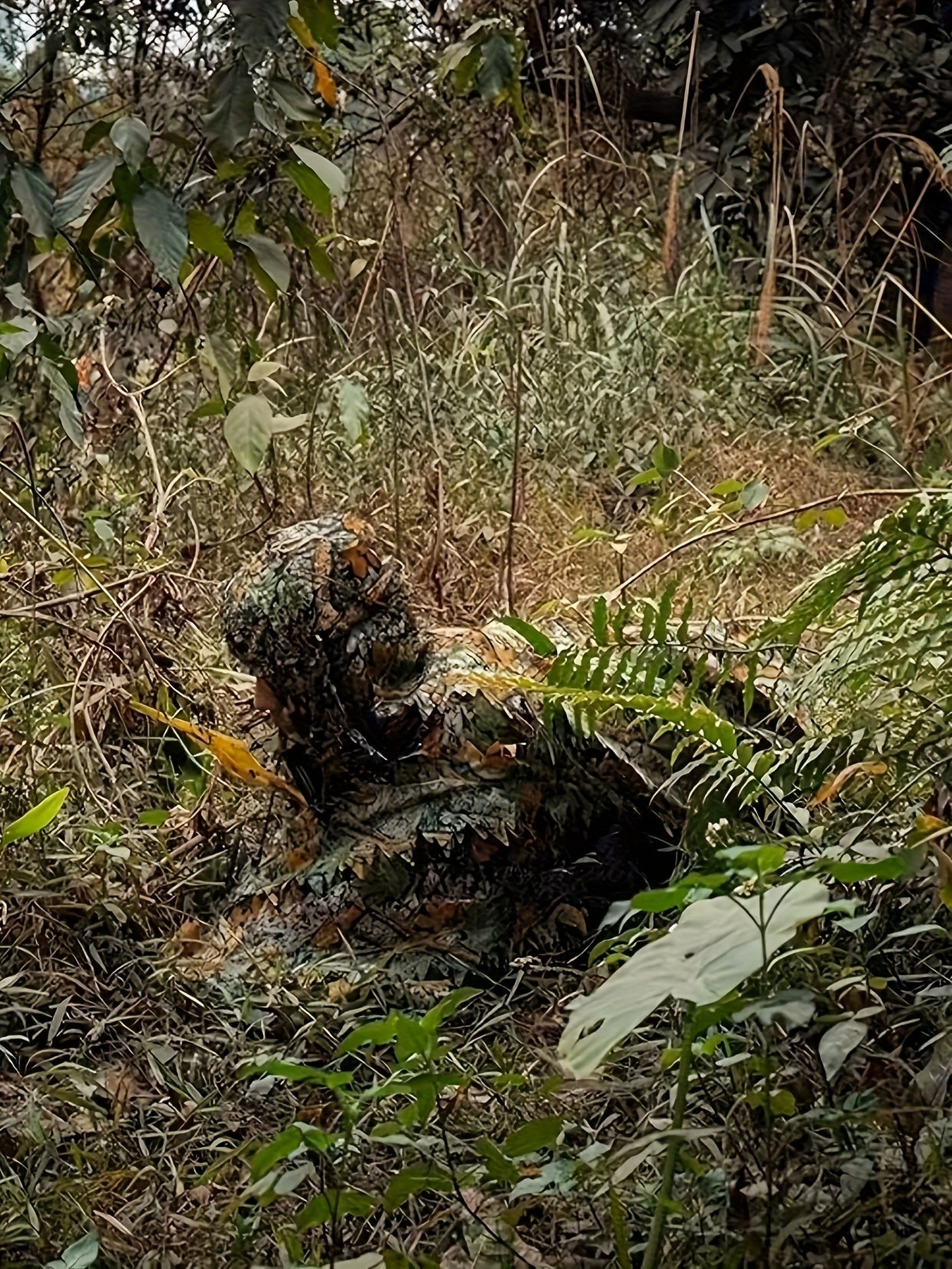 3D Maple Leaf Camouflage Ghillie Suit with Net Hood - One Size Fits S-XL Camo Hunting Suit for Deer Turkey Hunting Bird Watching Airsoft Paintball Survival Games Wildlife Photography (Fern Green)