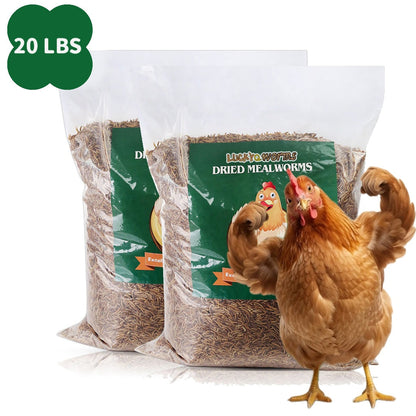 Dried Mealworms for Chickens Wild Birds Ducks – High Protein Natural Pet Food for Hens, Turtles, Fish, Lizards & Hamsters, Non-GMO Dried Insect Animal Feed, Multiple Sizes 0.6–40 LBS