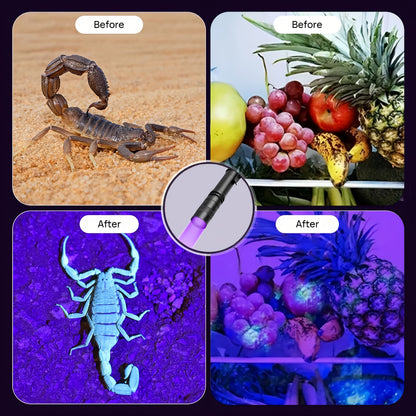 UV Blacklight Flashlight 395nm Portable Ultraviolet Light for Counterfeit Detection Pet Urine Stain Scorpion Hunting Ringworm, Multi-Pack 4/6/8/12pcs, AAA Battery Powered