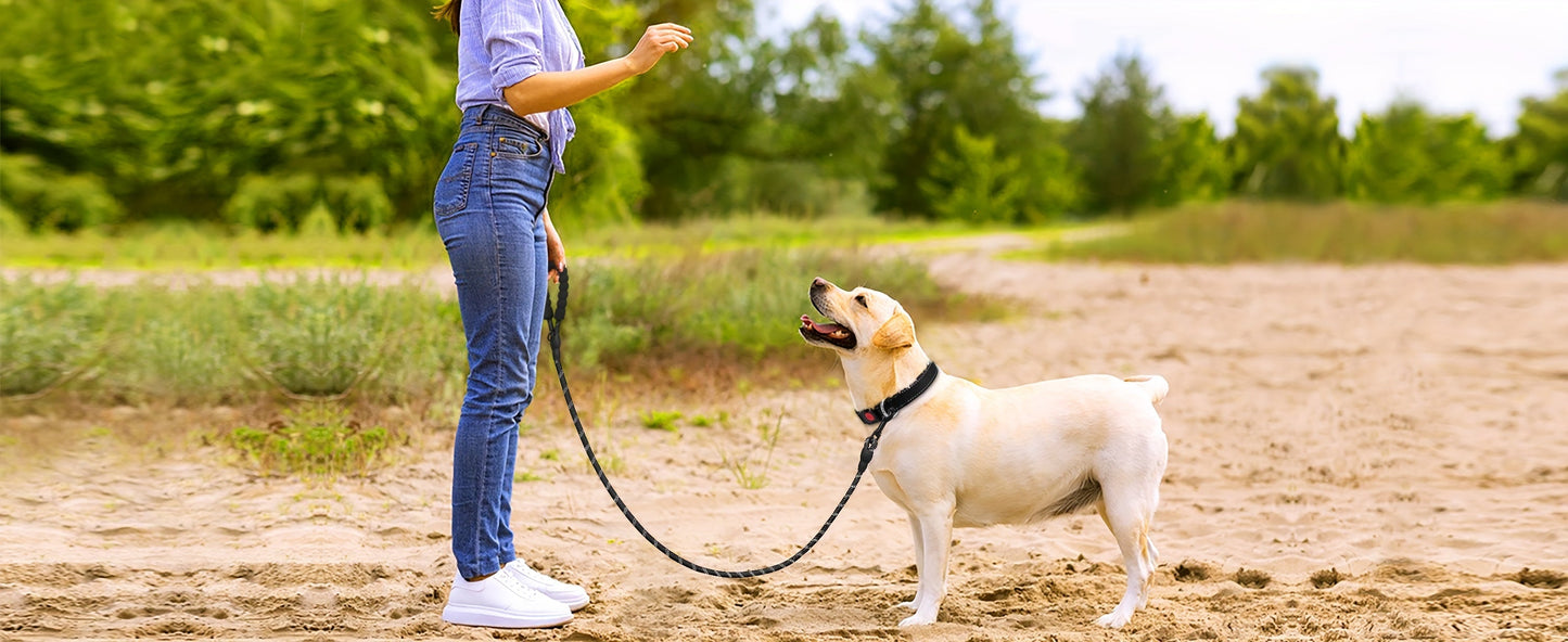 No Pull Dog Harness and Leash Set – Adjustable Reflective Oxford Vest Harness with 5-Foot Padded Handle Rope for Medium to Large Dogs, Quick-Release Buckles, Sizes S-XL, 5 Colors