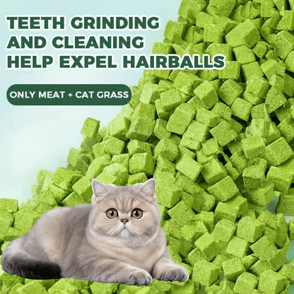 Freeze-Dried Cat Grass Hairball Control Tablets – Natural Mint Molar Sticks & Granules, Chicken Flavor Cat Snacks for Dental Health & Hair Removal